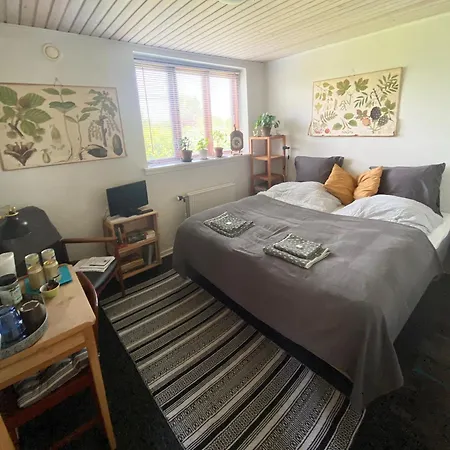 Appartement Vaerelse Midtfyn Heden à Ringe Extérieur photo