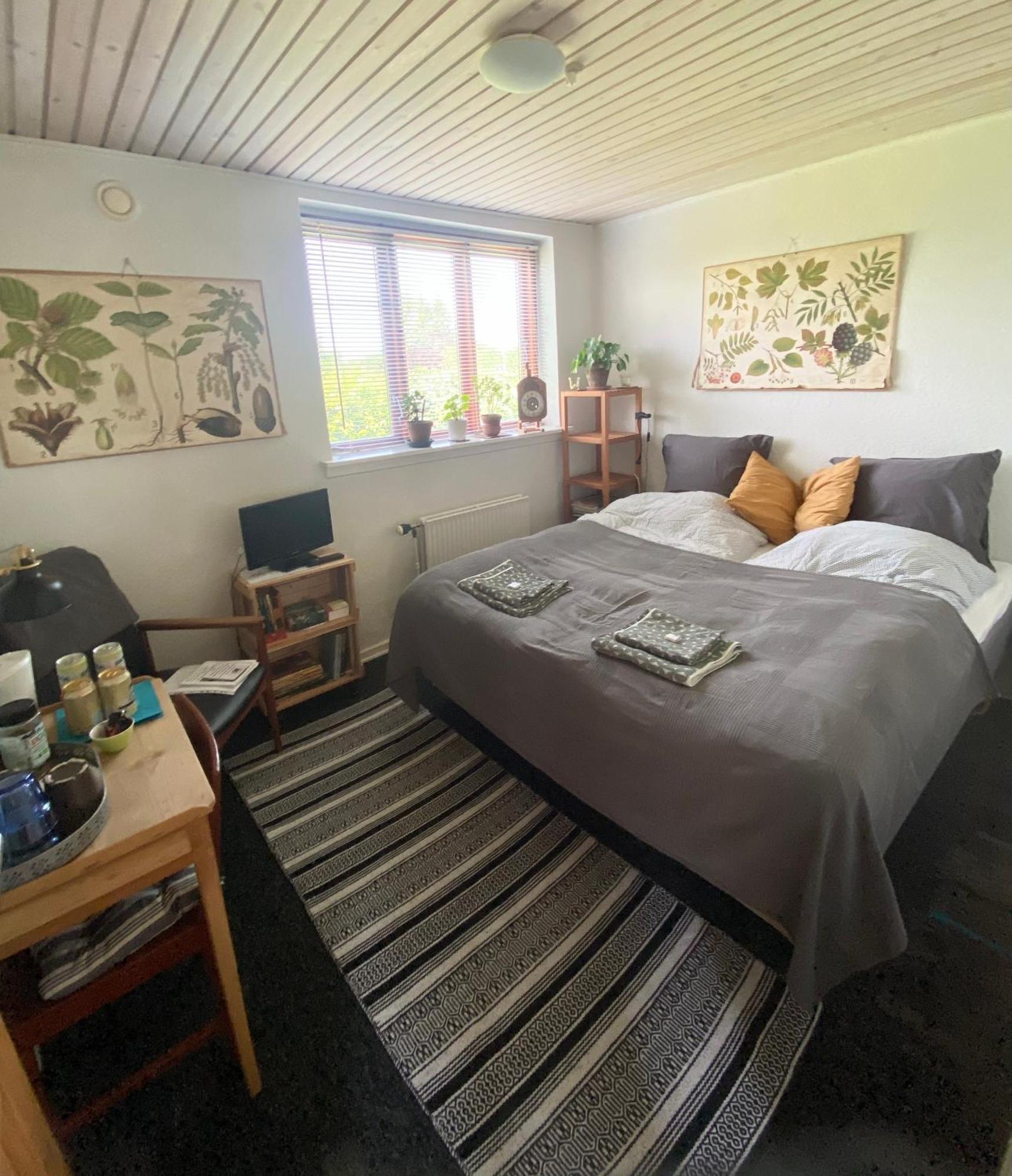 Séjour chez l'habitant Vaerelse Midtfyn Heden
